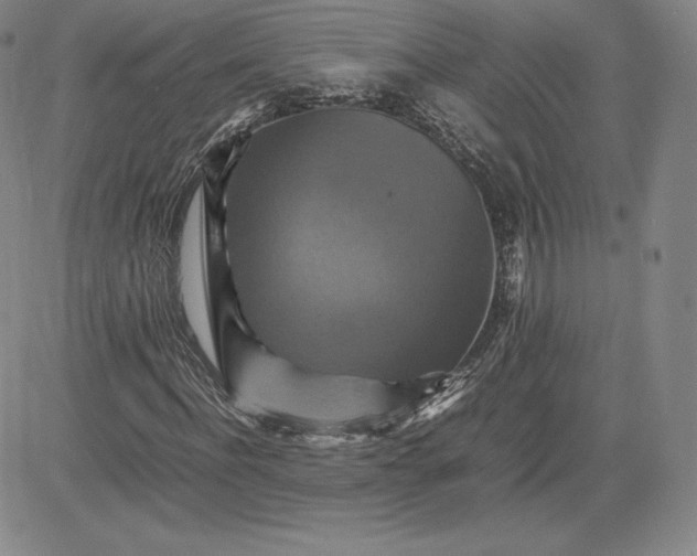 X0000080660916200612301331