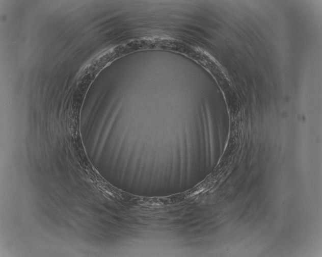 X0000080660919200612301331