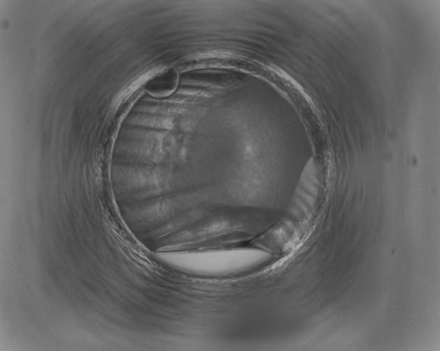 X0000080660921200612301331