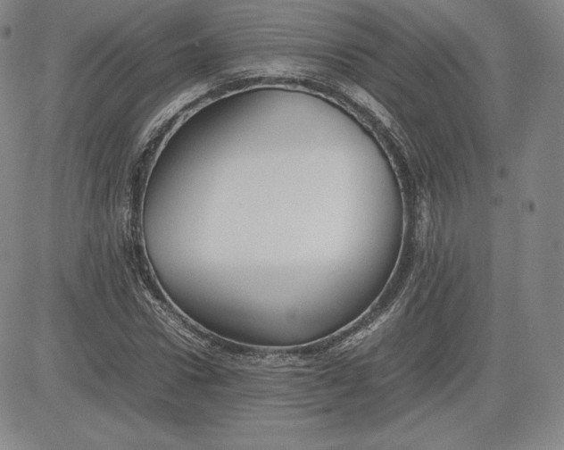 X0000080660922200612301331