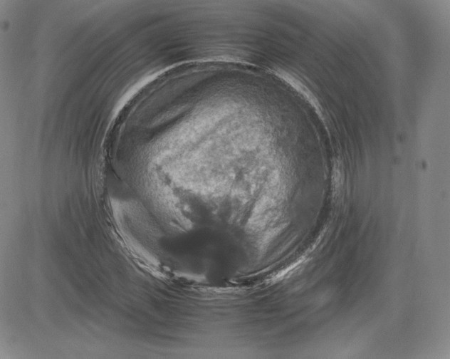 X0000080660925200612301331