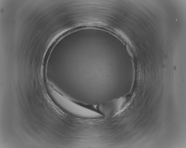 X0000080660932200612301332