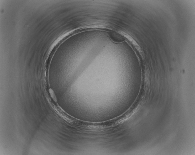 X0000080660933200612301332