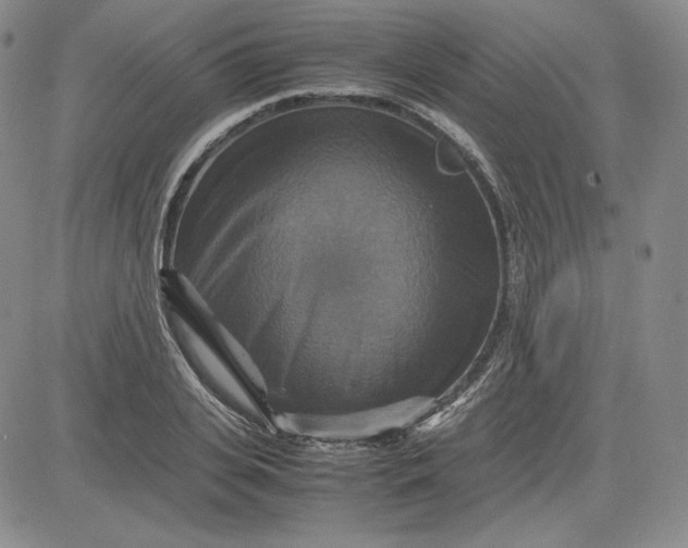 X0000080660935200612301332