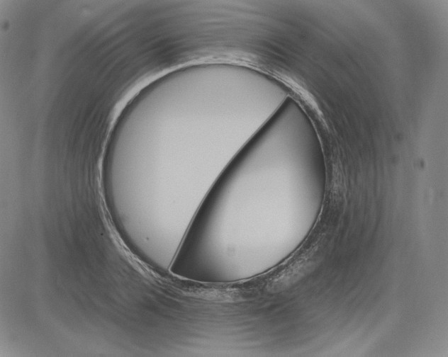 X0000080660936200612301332