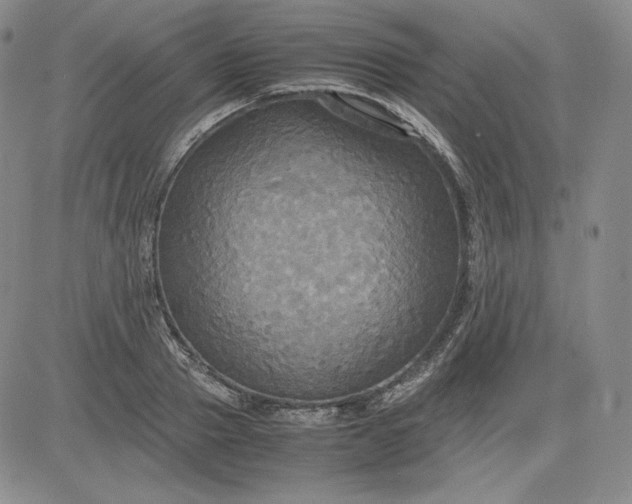 X0000080660937200612301332