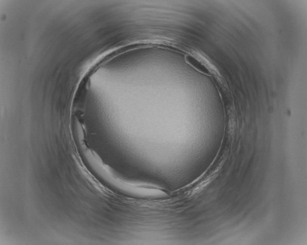 X0000080660940200612301332