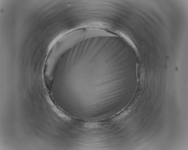 X0000080660944200612301332
