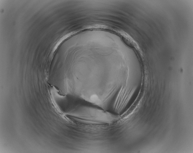 X0000080660945200612301332