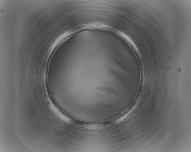 X0000080660946200612301332