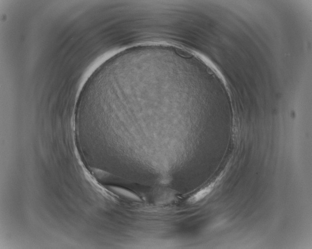 X0000080660951200612301332