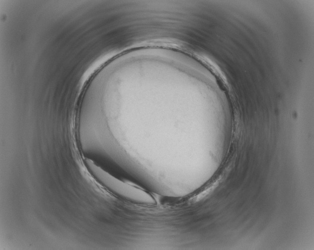 X0000080660952200612301332