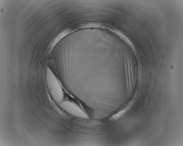 X0000080660953200612301332