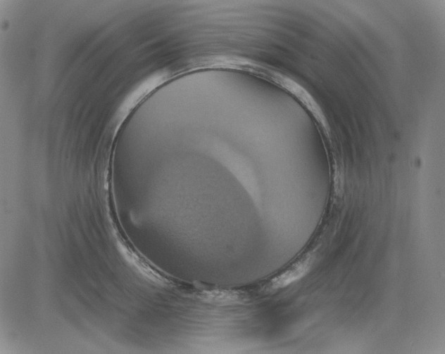 X0000080660954200612301332