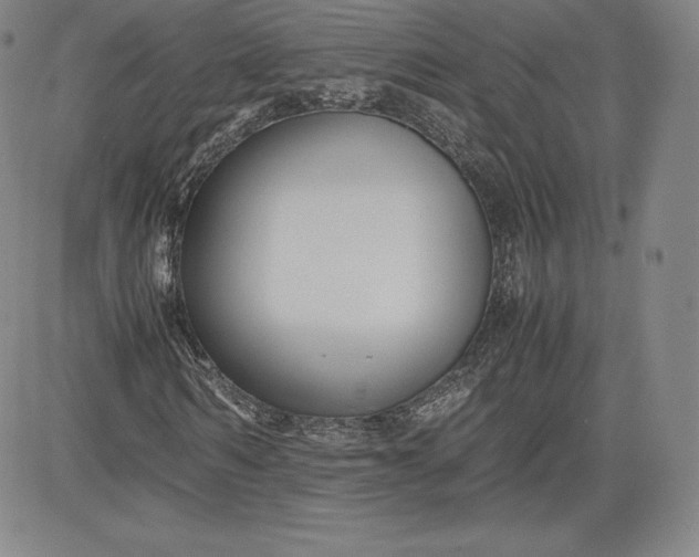 X0000080660962200612301331