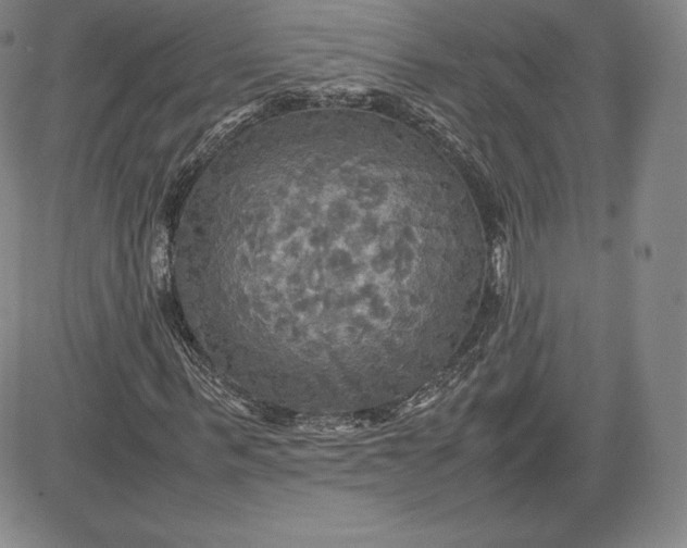 X0000080660963200612301331