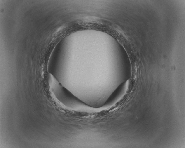 X0000080660965200612301331