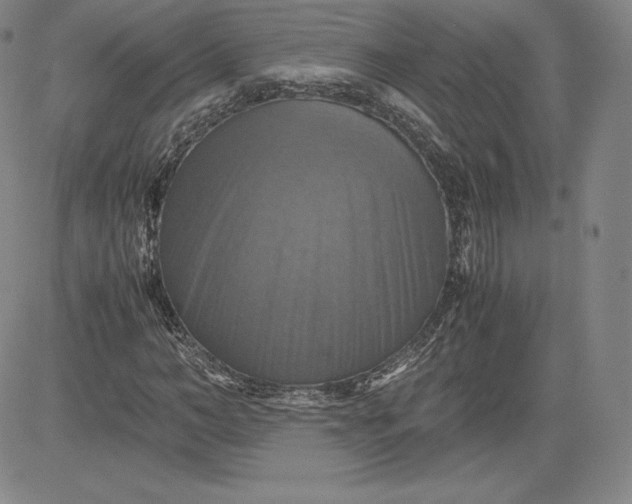 X0000080660966200612301331