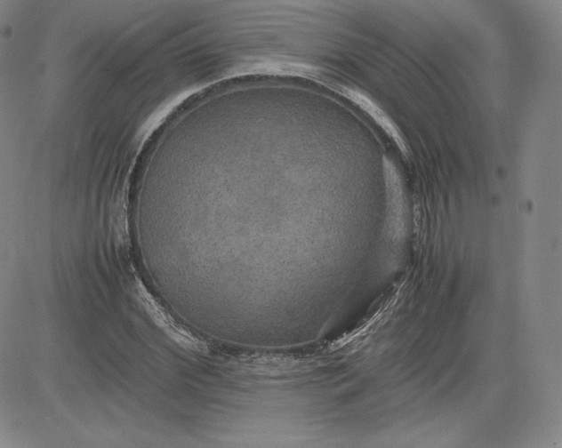 X0000080660972200612301331