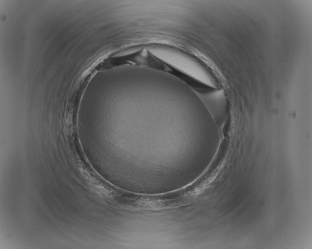 X0000080660977200612301331