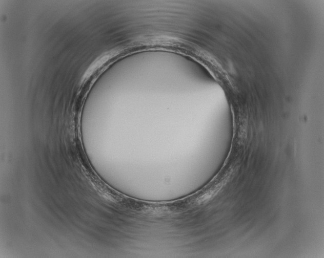 X0000080660978200612301331