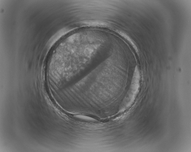 X0000080660983200612301331