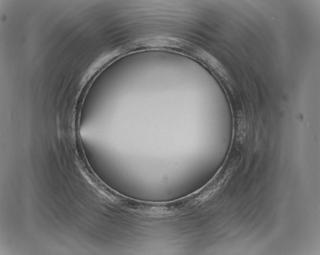 X0000080660986200612301331