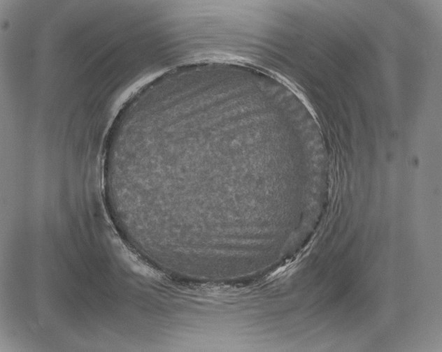 X0000080660987200612301331