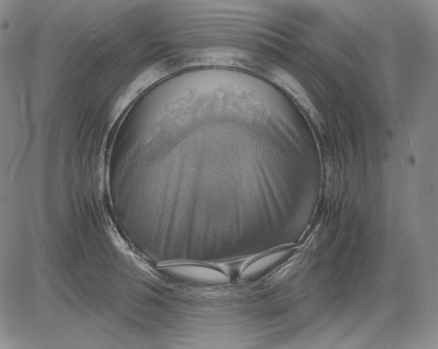 X0000080660994200612301331