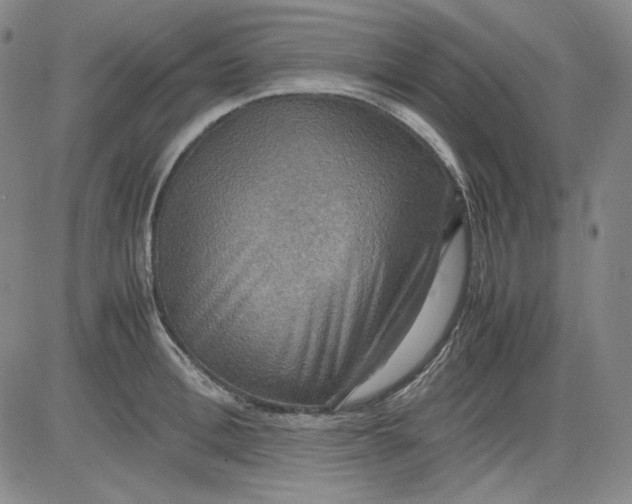 X0000080660996200612301331