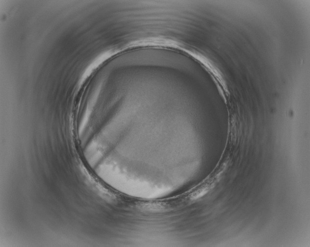 X0000080660998200612301331