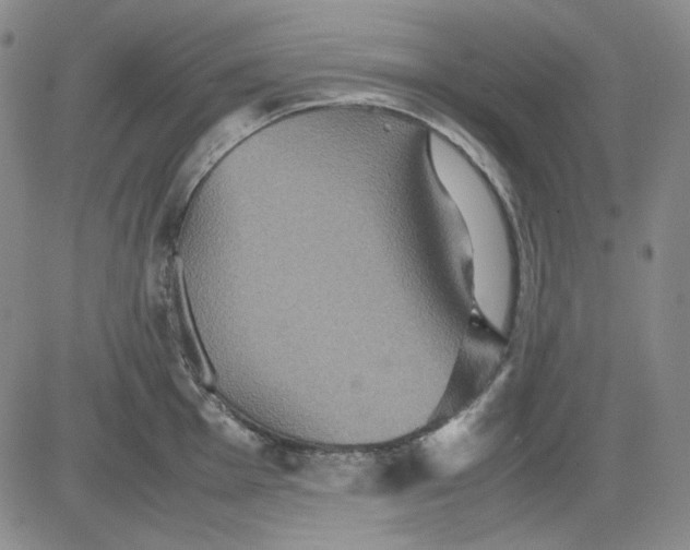 X0000080661001200612301331