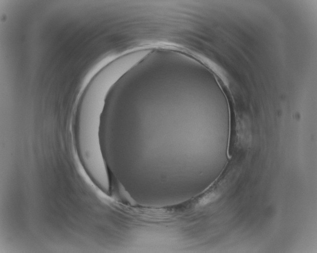 X0000080661007200612301330