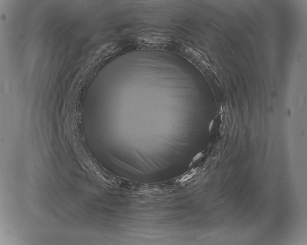 X0000080661009200612301330