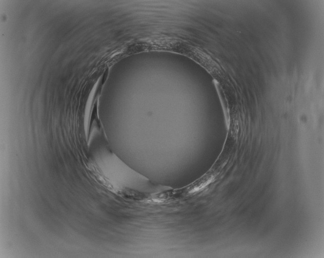 X0000080661010200612301330