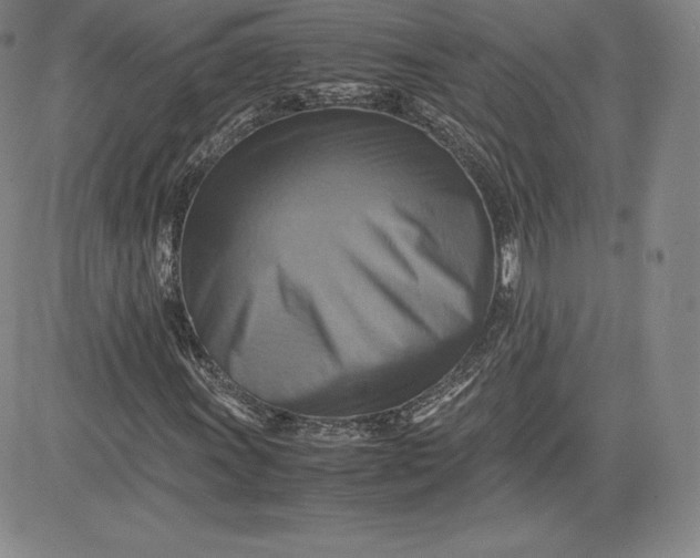X0000080661011200612301330