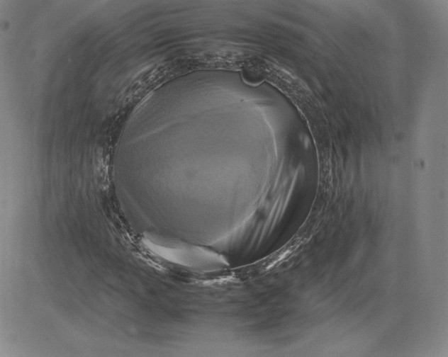 X0000080661013200612301330