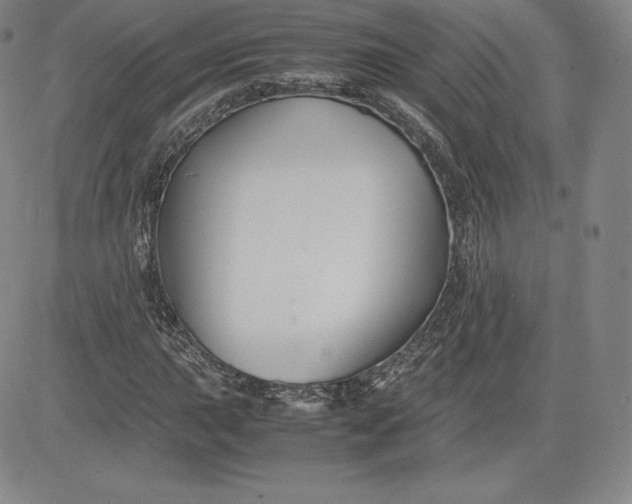 X0000080661015200612301330