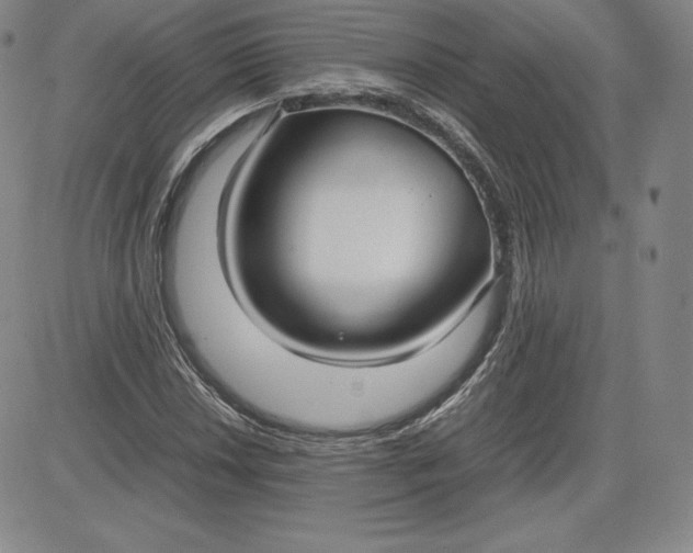 X0000080661018200612301330