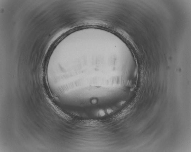 X0000080661024200612301330