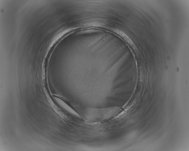 X0000080661031200612301330