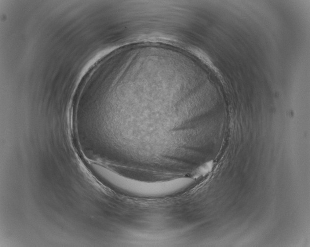 X0000080661032200612301330