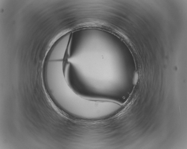 X0000080661034200612301330