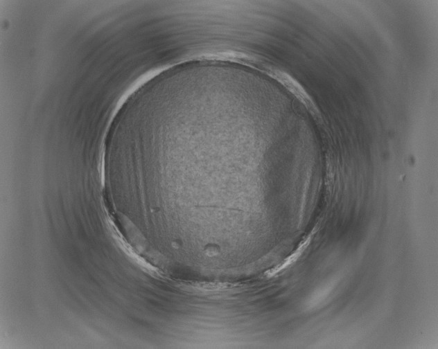 X0000080661036200612301330
