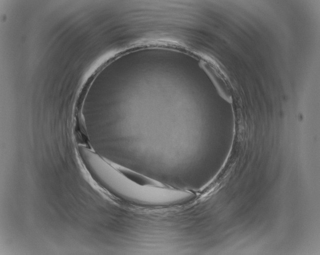 X0000080661038200612301330