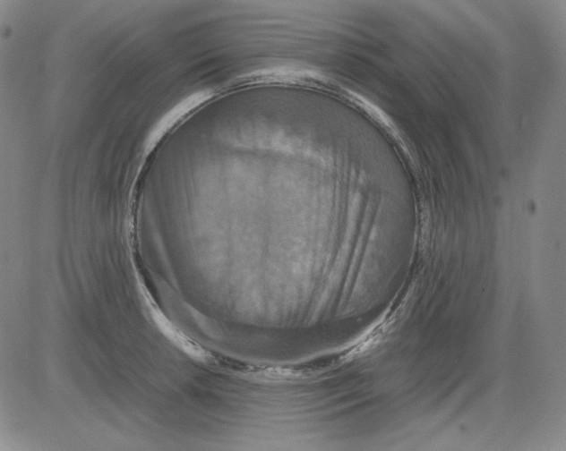 X0000080661042200612301330