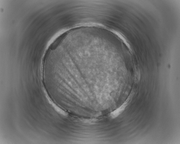 X0000080661046200612301330