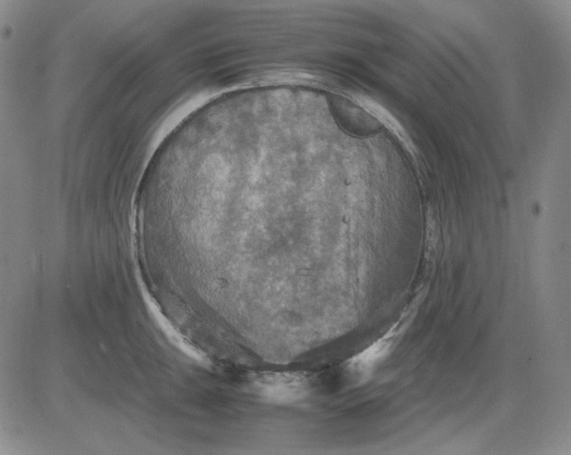 X0000080661047200612301330