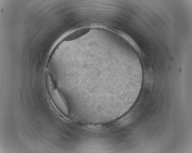 X0000080661052200612301330