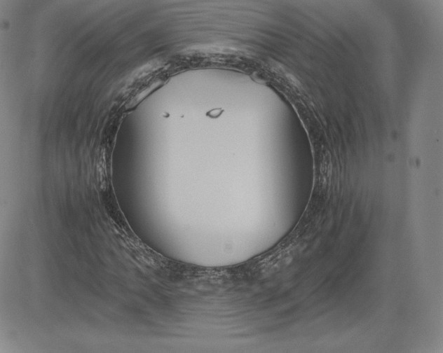X0000080661062200612301330